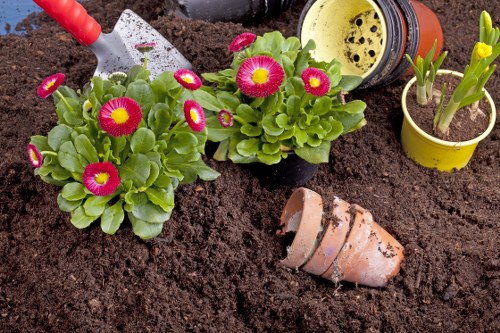 Garden makeover planning in an Ealing residential garden