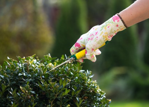 Illustration representing accessible landscaping services in Ealing