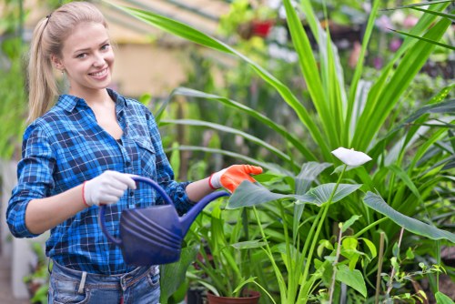 Landscaping team applying health and safety checks before work begins