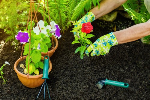 Planting and garden refurbishment suitable for Ealing properties