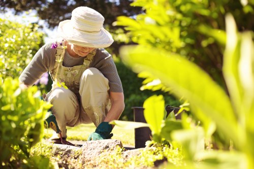 Website cookie policy introduction for Landscaping Ealing