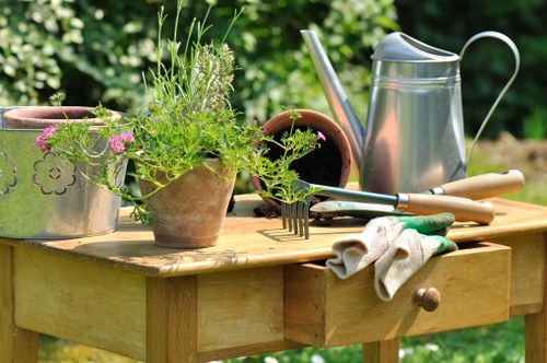 A professionally designed residential garden in Ealing
