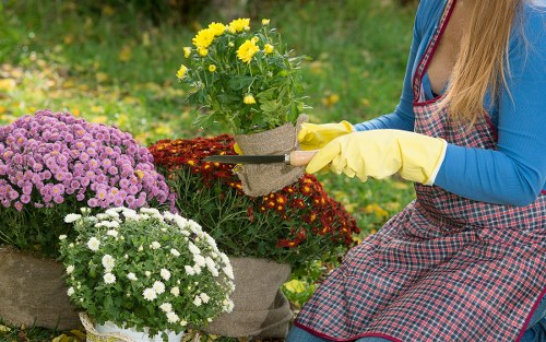Image symbolising ongoing accessibility improvements for landscaping information