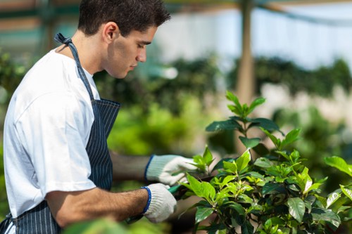 SSL encryption symbol representing safe Landscaping Ealing payments