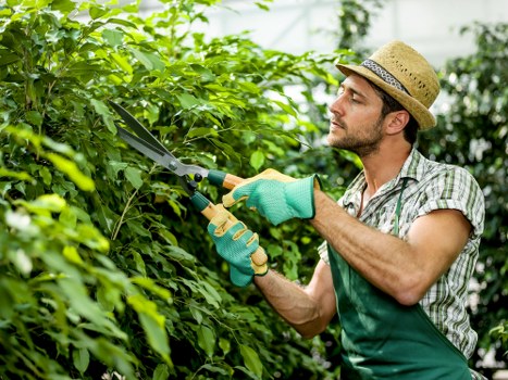 Local transfer station handling garden and construction waste