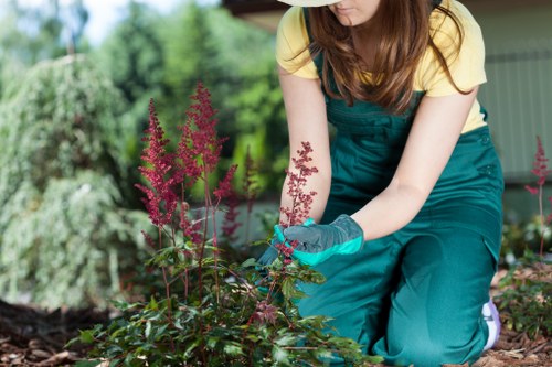 Garden drainage services for homes and businesses across Ealing