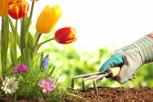 Professional turf installation on an Ealing home garden