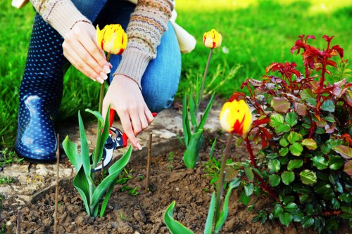 A landscaping quotation breakdown for a residential garden in Ealing