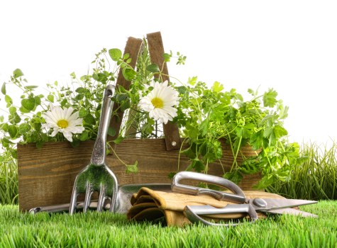 Professional landscaping details in Ealing showing hard landscaping and planting