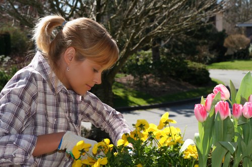 Free quote policy for Landscaping Ealing shown with garden project planning